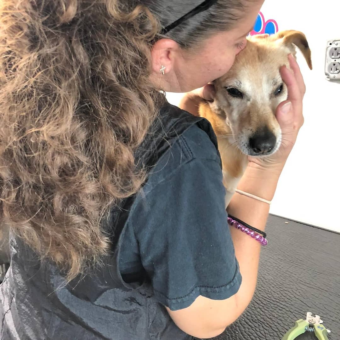 Sweet Pets